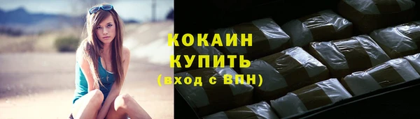 прущие грибы Вуктыл