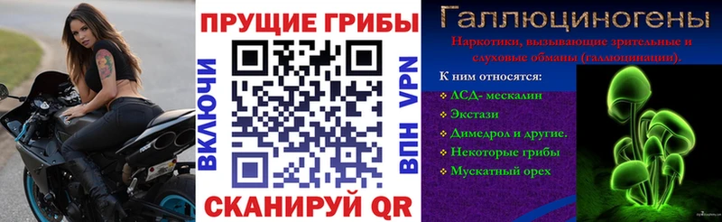 магазин  наркотиков  кракен   Галлюциногенные грибы Psilocybine cubensis  Куровское 
