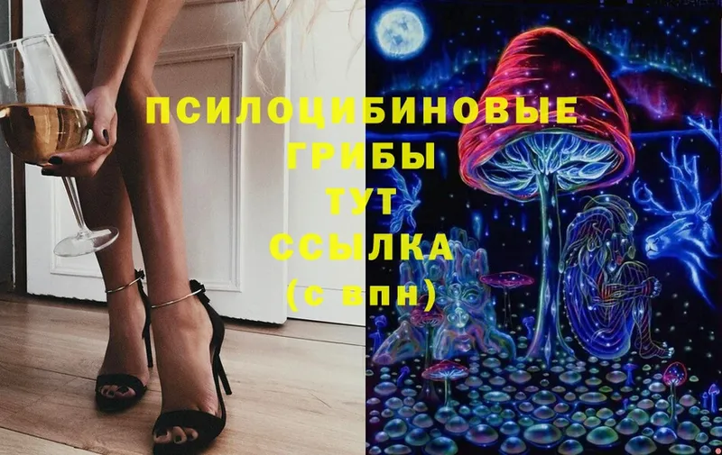 Галлюциногенные грибы Psilocybine cubensis  Куровское 